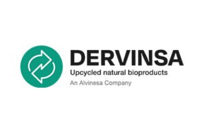dervinsa